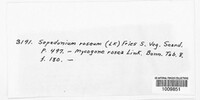 Image Associated With the Occurence